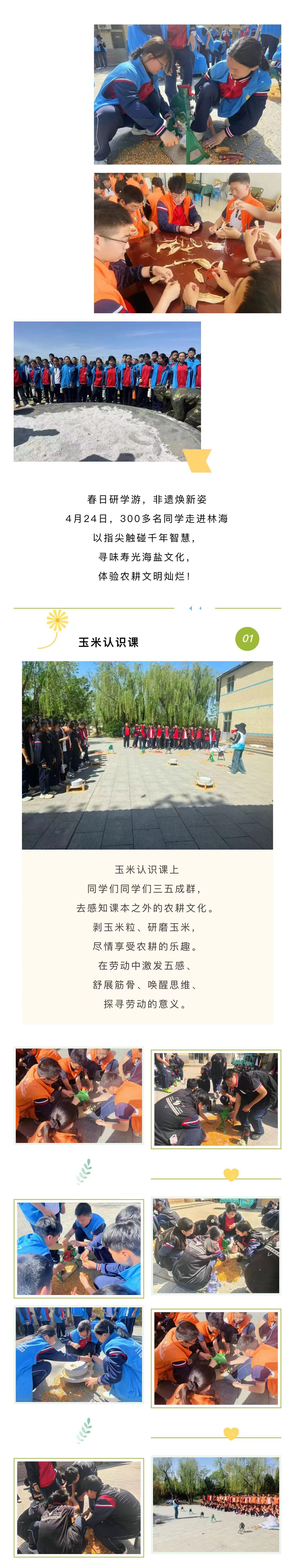 �ڲ��������רҵЧ��,����Ϊ��