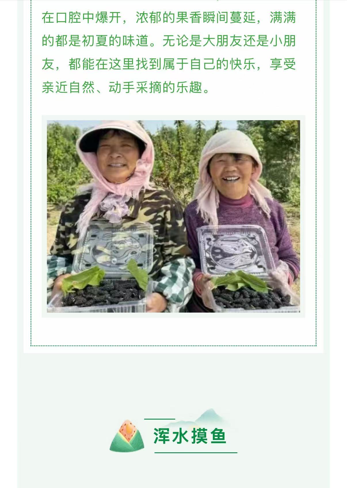 �ڲ��������רҵЧ��,����Ϊ��