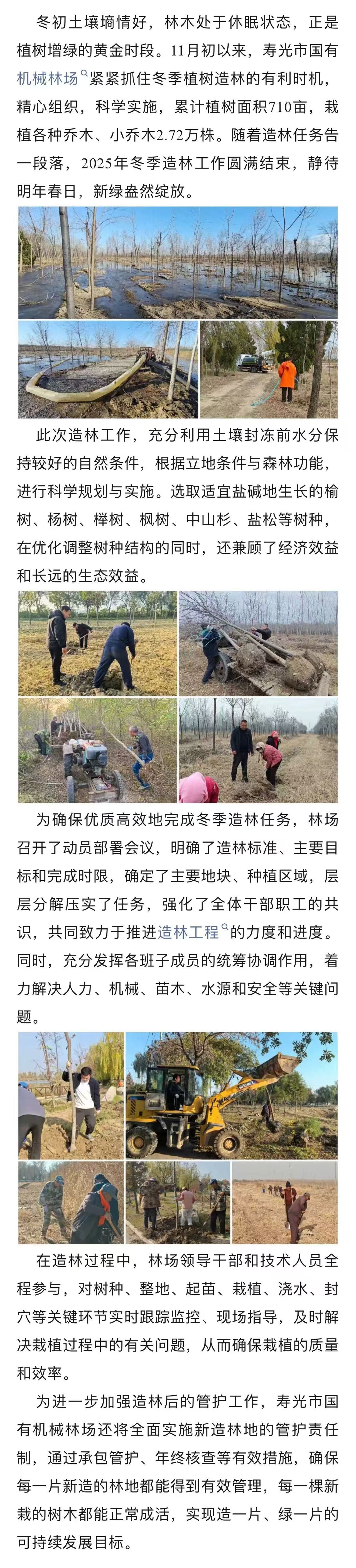 �ڲ��������רҵЧ��,����Ϊ��